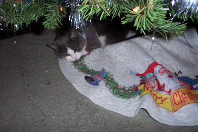 peanut-xmas.gif